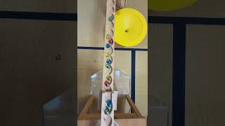 マーブルラン82 marble run 特別コース オリジナル動画 木製コース