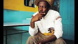 Wyclef Jean Feat Serj Tankian &amp; Sizzla - Trouble Again(Riot)