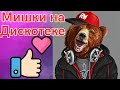 МИШКИ ТАНЦОРЫ ДИСКО 😂 Приколы с животными | Юмор 😂 Ржач