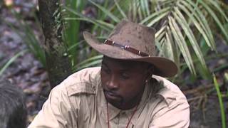 Nigel Is Under Fire From Tony | I'm A Celebrity... Get Me Out Of Here!