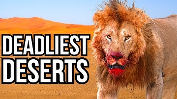 Ranking 7 Of The Most Dangerous Deserts In The World Based On Their Wildlife