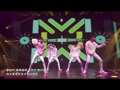 【TF Gia Tộc】Mèo Ba Tư - Đinh Trình Hâm x Mã Gia Kỳ x Ngao Tử Dật x Trần Tỉ Đạt