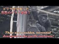 突然のゲリラ豪雨の後、楽しそうに水たまりで遊ぶキンタロウの姿を目撃‼︎⭐️ゴリラGorilla【京都市動物園】 Kintaro was happily playing in a puddle!