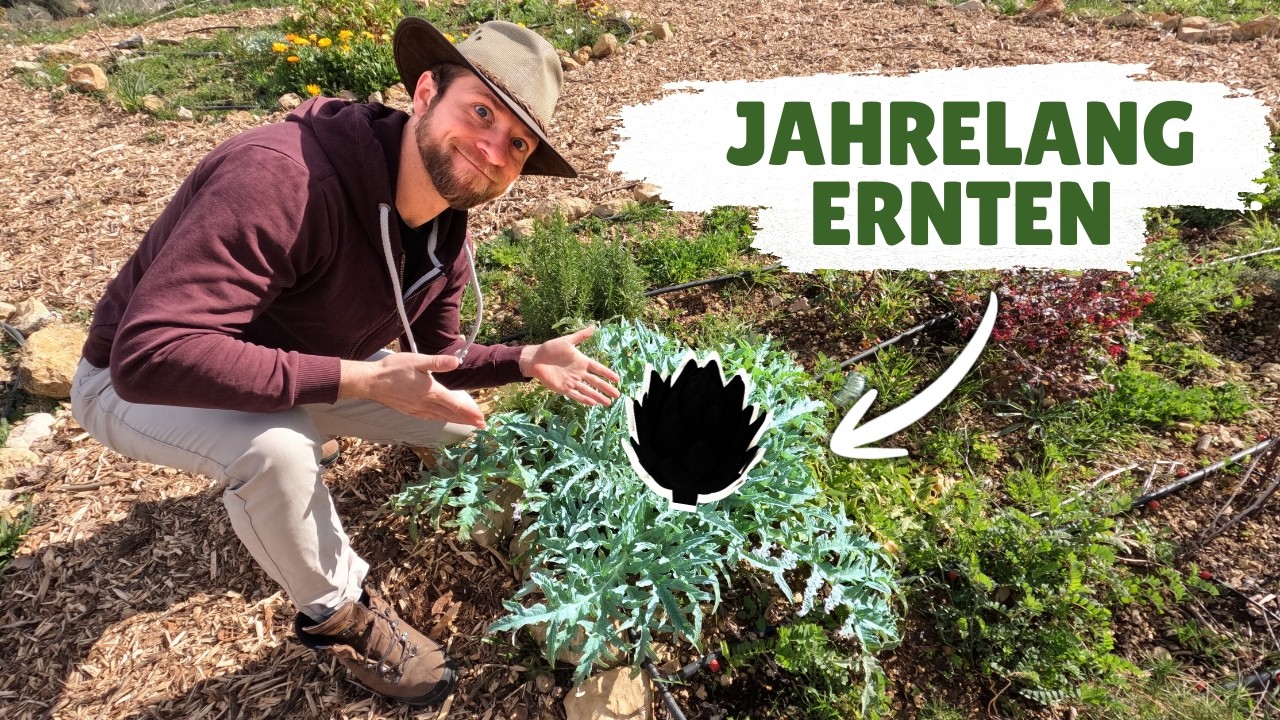 Meine Top 10 mehrjährigen Gemüse für den Garten 🥬