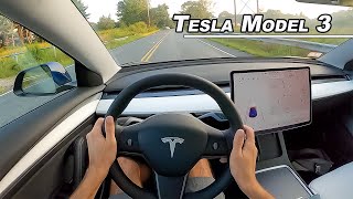 Before You Buy a Tesla - Could you Live with The Model 3 Performance? (POV Binaural Audio)