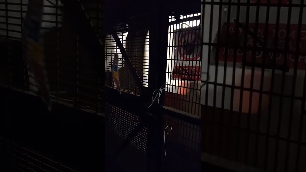 Down Street Tube Station (15/12/22)