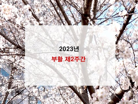 영상썸네일
