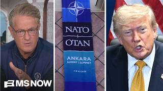 'Stupid, stupid people': Joe BLASTS Trump for criticizing NATO, says he's in 'Putin's pocket'
