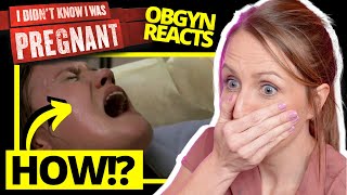 ObGyn Reacts: Didn