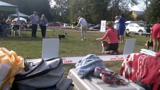 WP 20140913 004