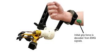 Autonomous Slip-Prevention Grip Force Control For Robotic Prosthetic Hands