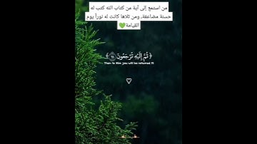#تلاوة تبعث طمأنينة القلب #اللهم اجعل القرآن ربيع قلوبنا🤍💚