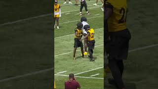 DK Metcalf vs Brandon Echols