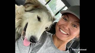 Heroic Pet Rescues During Wildfires!
