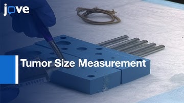 Construction-Preclinical Multimodality Phantom: Tissue-Mimicking Materials l Protocol Preview