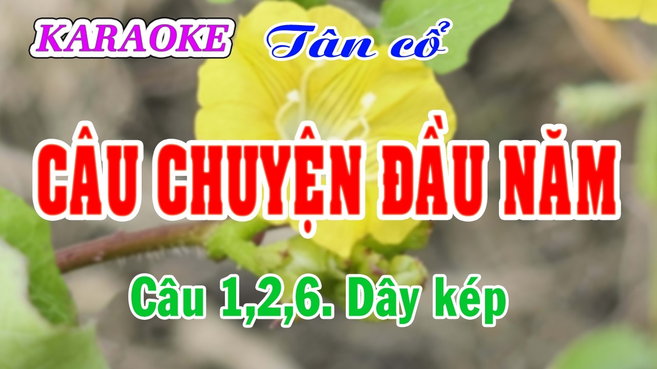 Karaoke _ Câu Chuyện Đầu Năm _ Nhạc Hoài An _ Vọng Cổ   Nguyễn Nhanh _ Dây Kép