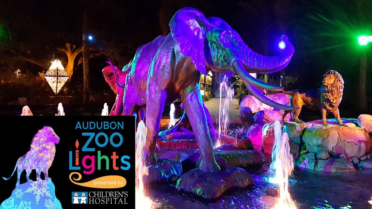 Audubon Zoo Lights YouTube