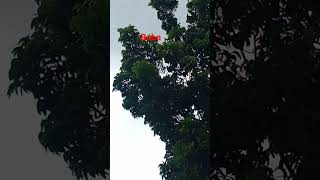 বাবা মানে হাজার বিকেল আমার ছেলেবেলা viralshortst vairalvideo youtube subscribe bangladesh