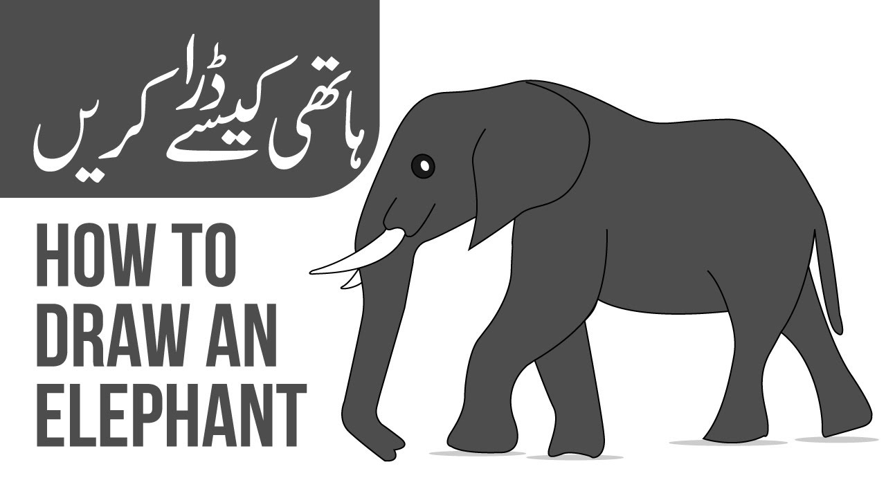 How to draw an elephant | ہاتھی کی ڈرائنگ کیسے کریں  | Step by step elephant drawing and coloring