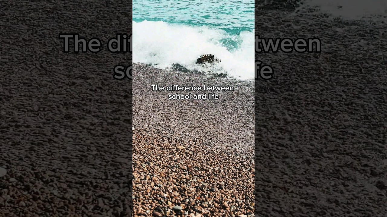 The difference between school and life 