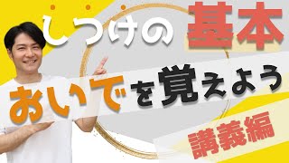 愛犬】呼び戻しの教え方!『おいで』 - YouTube 愛犬】呼び戻しの教え方!『おいで』 - YouTube