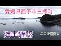 海中動画です。愛媛県三瓶町