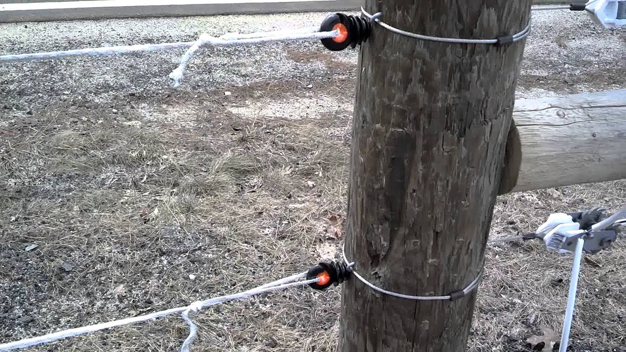 Bungee Gates 1 of 2 YouTube