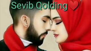 SEVIB QOLDING