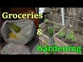 Groceries & Gardening