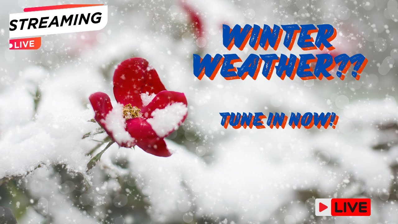 Winter Storm Next Week - YouTube