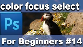 Photoshop Tutorial - Focus Area and Color Range Selection part 14