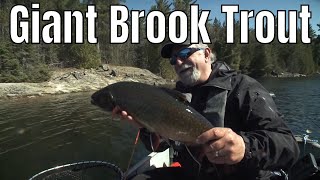 Giant Brook Trout In A Tiny Lake | Fish'n Canada