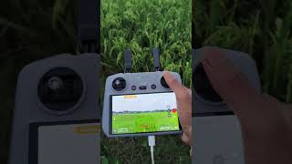 Village drone video #shortsfeed #droneshorts #shorts #dji #djidrone #djimini4pro #trending