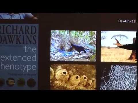 From Darwin to DNA: The Genetic Basis of Animal Behavior on YouTube