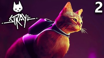 Where Are the Humans? | Stray - Part 2