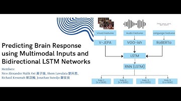 114上_專題成果影片_Predicting Brain Response using Multimodal Inputs and Bidirectional LSTM Networks
