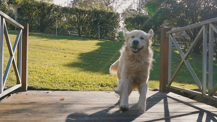 79B Cattai Ridge Rd, Glenorie