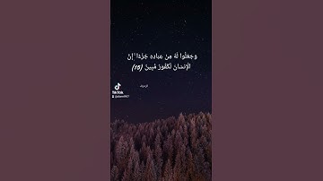 تلاوة بديعة للقارئ معاذ الدويك