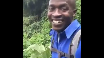 2048 Ball Games: Merge Number | 10-C