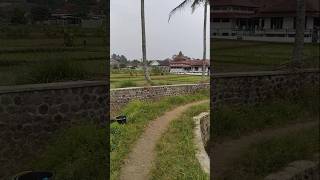 Indahnya Perkdanungan Pesawahan Di Iringi Alun Na  Kecapi Suling Yang Merdu shorts