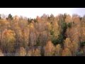 Золотая осень-2013 видеозарисовка / Golden Autumn: videosketch