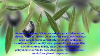 ZÜMER-(ZÜMER )-SURESİ-Ebubekir Şatiri (Abu Bakr Al Shatri)