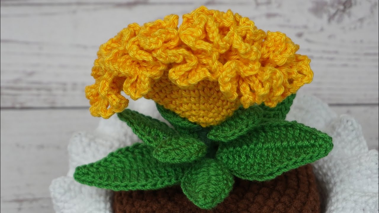 FLOR CRESTA DE GALLO EN CROCHET