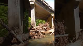 Bridge Dangers You’ve Never Noticed: How Logjams Threaten Infrastructure During Floods #shorts