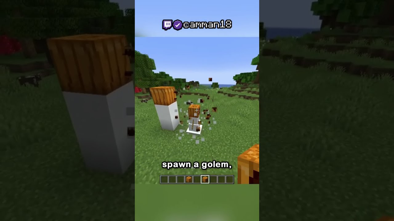 I Discovered A New Minecraft Mob