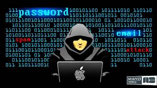 CEH SQL Injection part 2