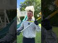Best Working Bug and Pest Control