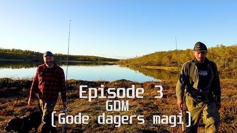 Viddeland Episode 3 - G.D.M [4K]