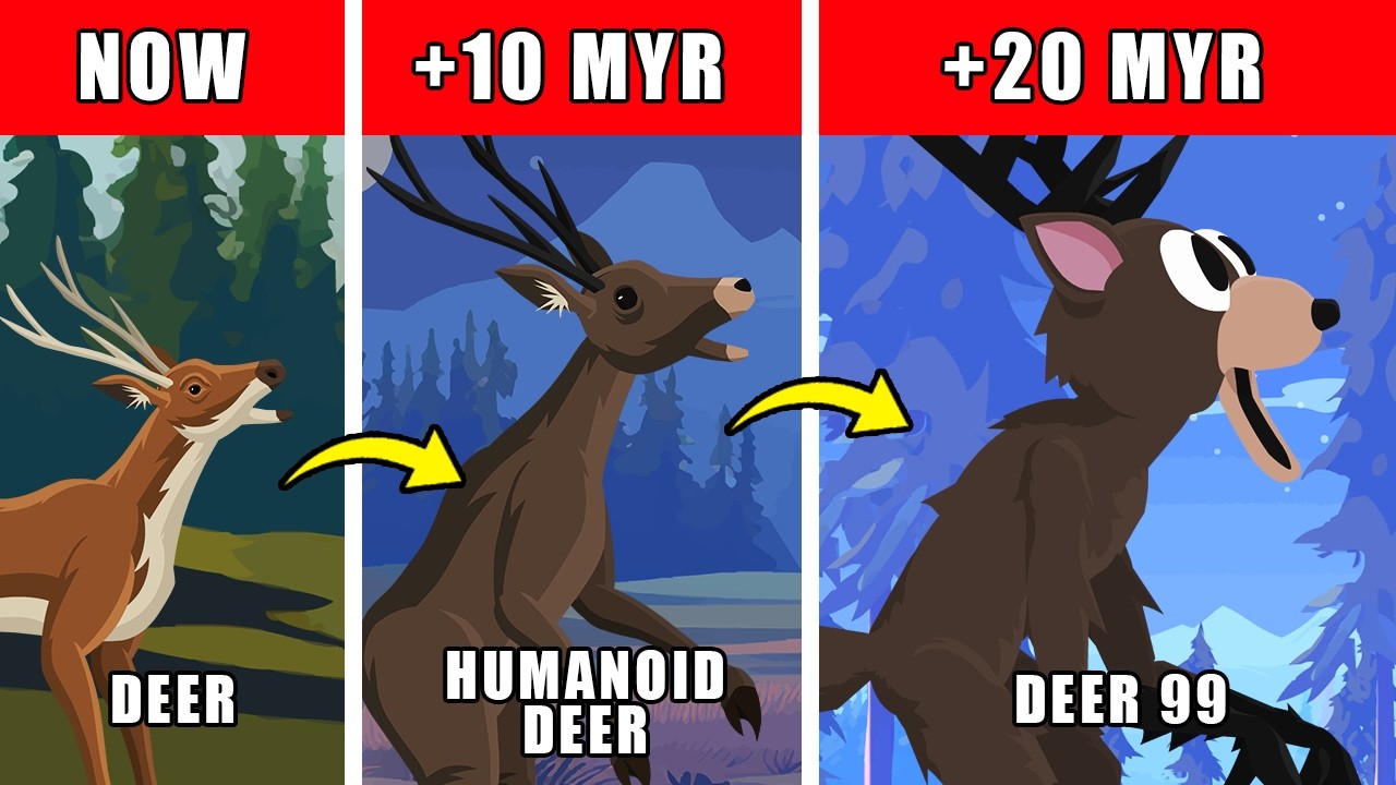 The Deer 99 Origin Evolution: How The Deer 99 Could Have Evolved