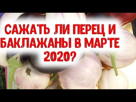 Сажать ли перец и баклажаны в марте 2020 года? Какие лучшие дни выбрать для посева семян на рассаду